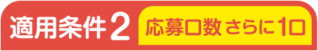 適用条件2 応募口数 さらに1口