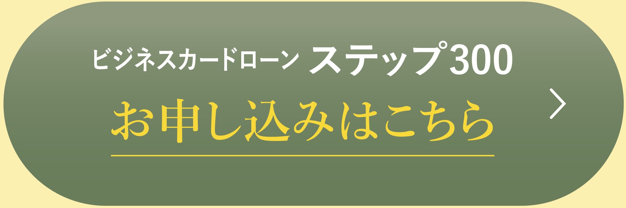 ビジネスカードローン ステップ300 お申し込みはこちら