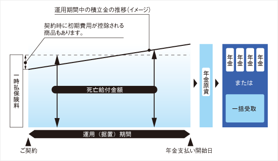 定額個人年金保険の仕組み図