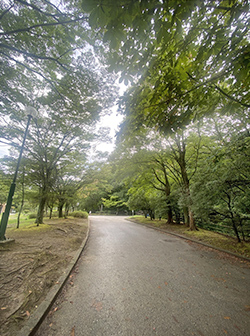 職員たちの休憩室