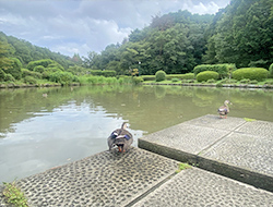 職員たちの休憩室