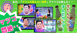 テレビ番組でも紹介されました