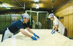 株式会社中勇酒造店