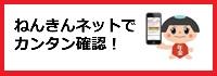 ねんきんネットWEBサイト